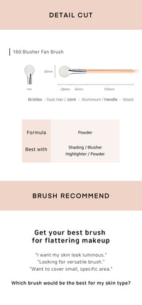 THE TOOL LAB 160 Blusher Fan STORE K BEAUTY