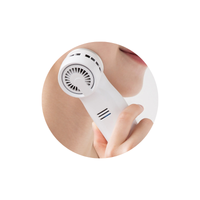 icha Face Cooler Cooling Massager