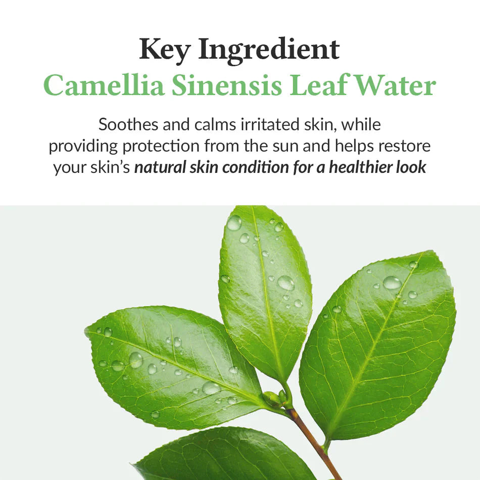 Dr.Althea Green Tea Fresh Sunscreen Dr.Althea