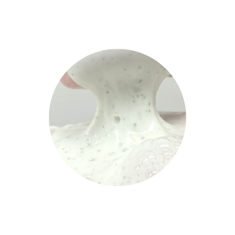 Phytoaid Lotus Leaf Cleansing Foam Phytoaid