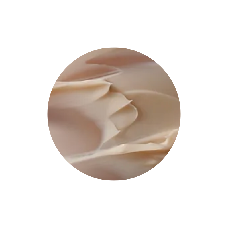 Dr.Ceuracle VEGAN KOMBUCHA TEA SLEEP MASK Dr.Ceuracle