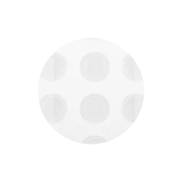 VT COSMETICS VT Pro Cica Centella Asiatica Tiger Clear Spot Patch VT COSMETICS