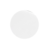 VT COSMETICS S4 SQUALANE MOISTURE AMPOULE VT COSMETICS
