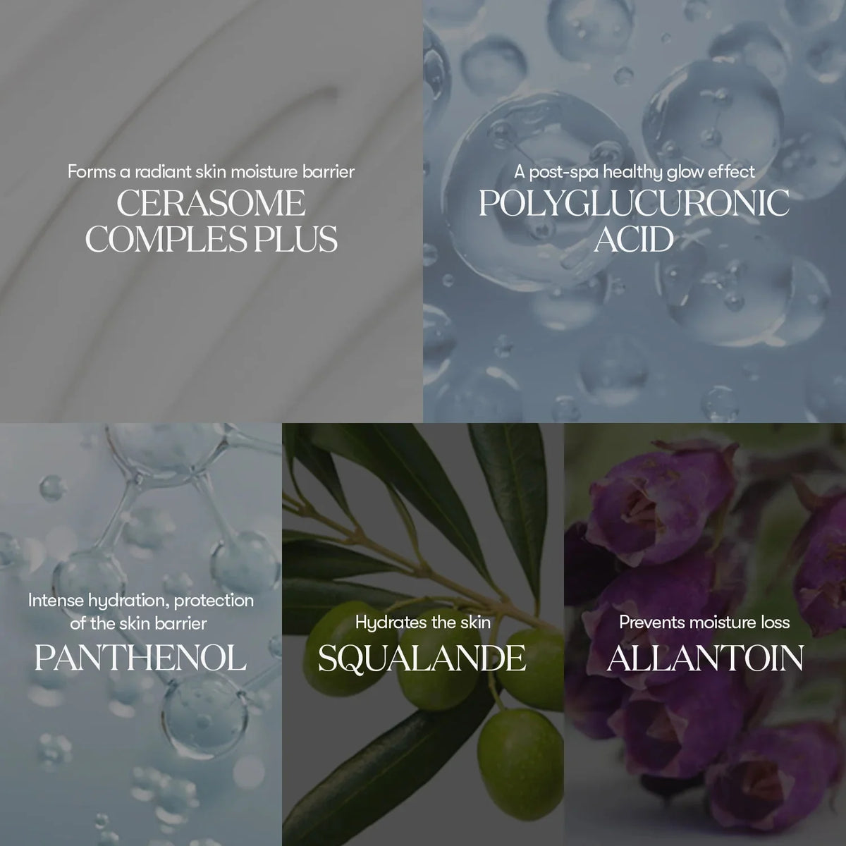 VT COSMETICS PDRN ESSENCE 100 VT COSMETICS