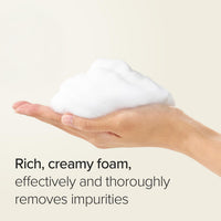 Mary&May Houttuynia Cordata + Tea Tree Cleansing Foam MARY&MAY