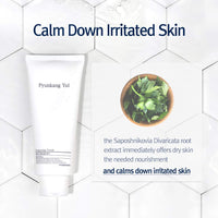 Pyunkang Yul Cleansing Foam PYUNKANG YUL
