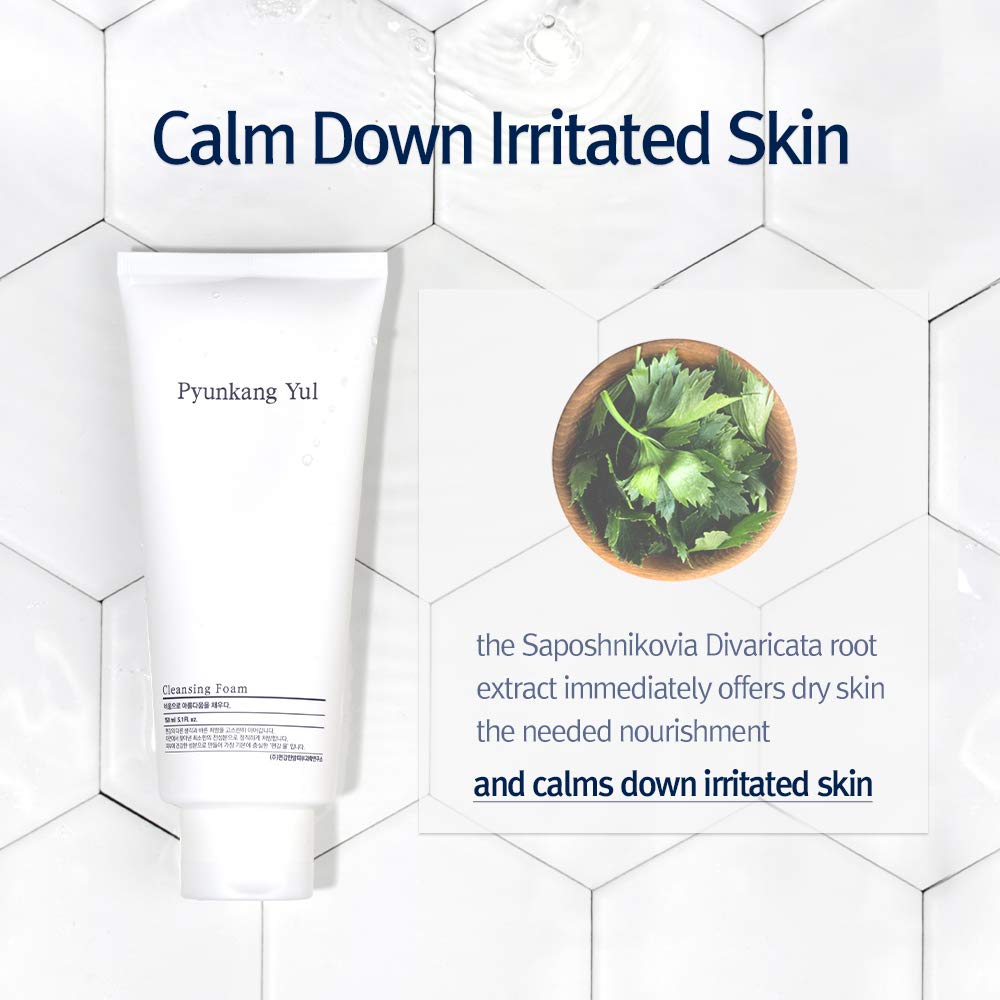 Pyunkang Yul Cleansing Foam PYUNKANG YUL