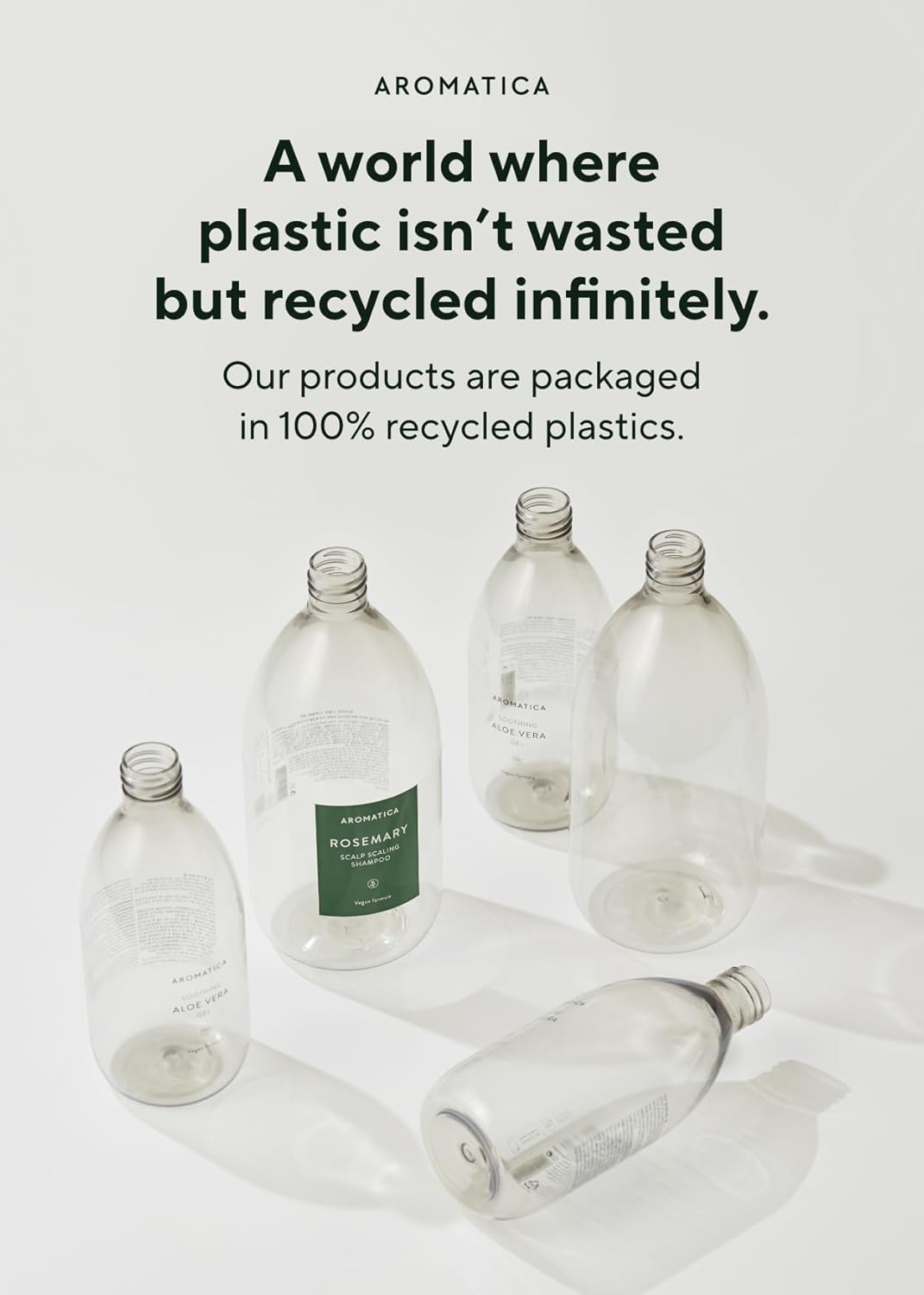 AROMATICA Tea Tree Purifying Shampoo AROMATICA