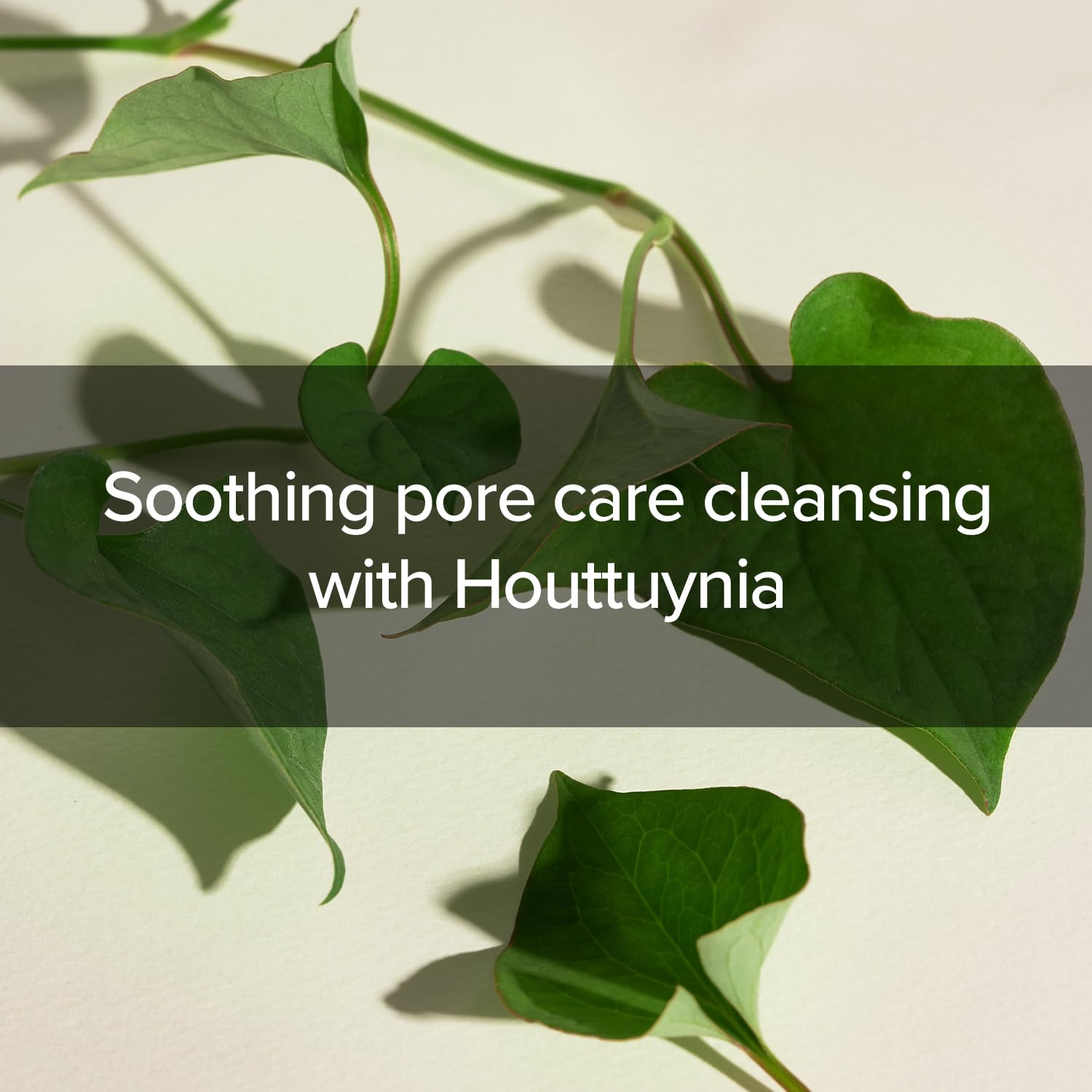 Mary&May Houttuynia Cordata + Tea Tree Cleansing Foam MARY&MAY