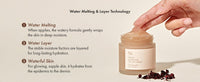 Dr.Ceuracle VEGAN KOMBUCHA TEA GEL CREAM Dr.Ceuracle