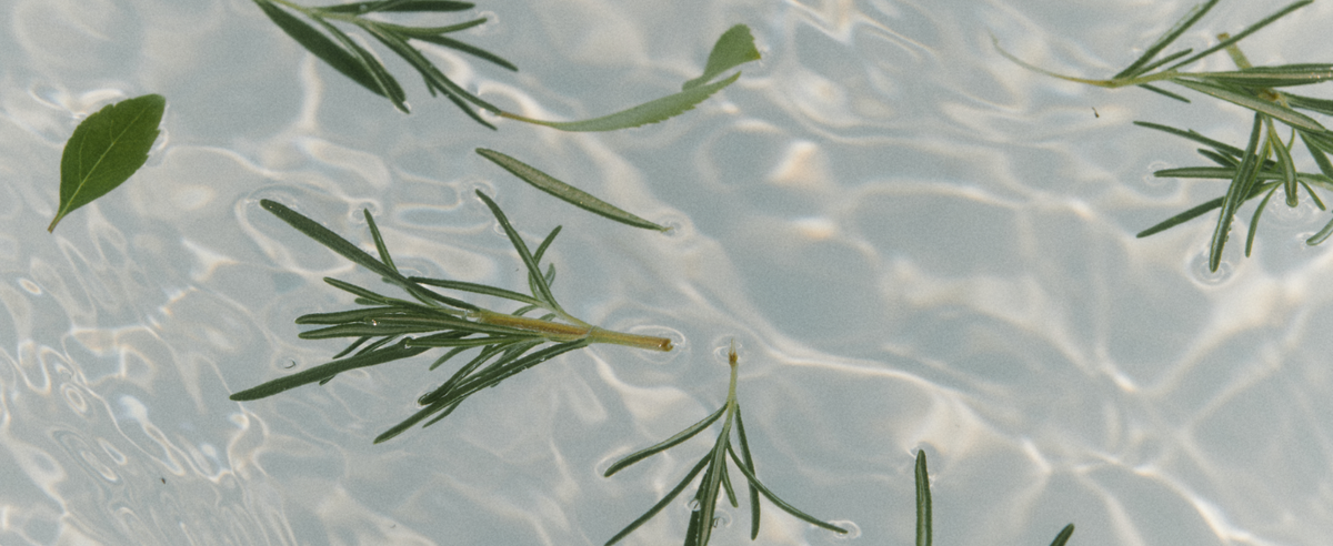 AROMATICA Rosemary Salt Scrub Shampoo AROMATICA