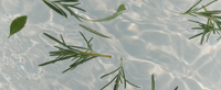 AROMATICA Rosemary Salt Scrub Shampoo AROMATICA