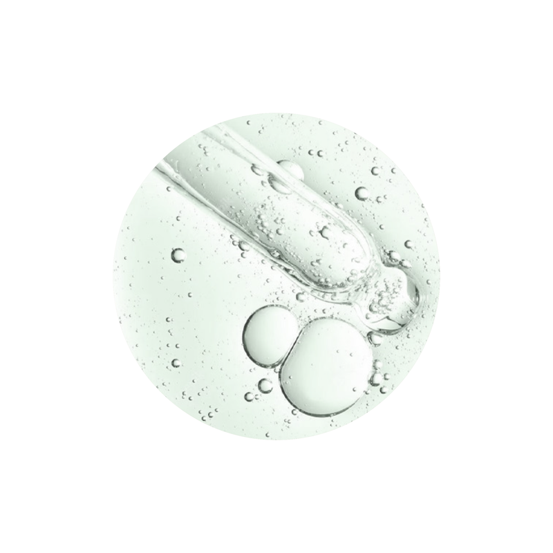 Beauty of Joseon Calming Serum Green Tea + Panthenol Beauty of Joseon