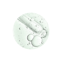 Beauty of Joseon Calming Serum Green Tea + Panthenol Beauty of Joseon