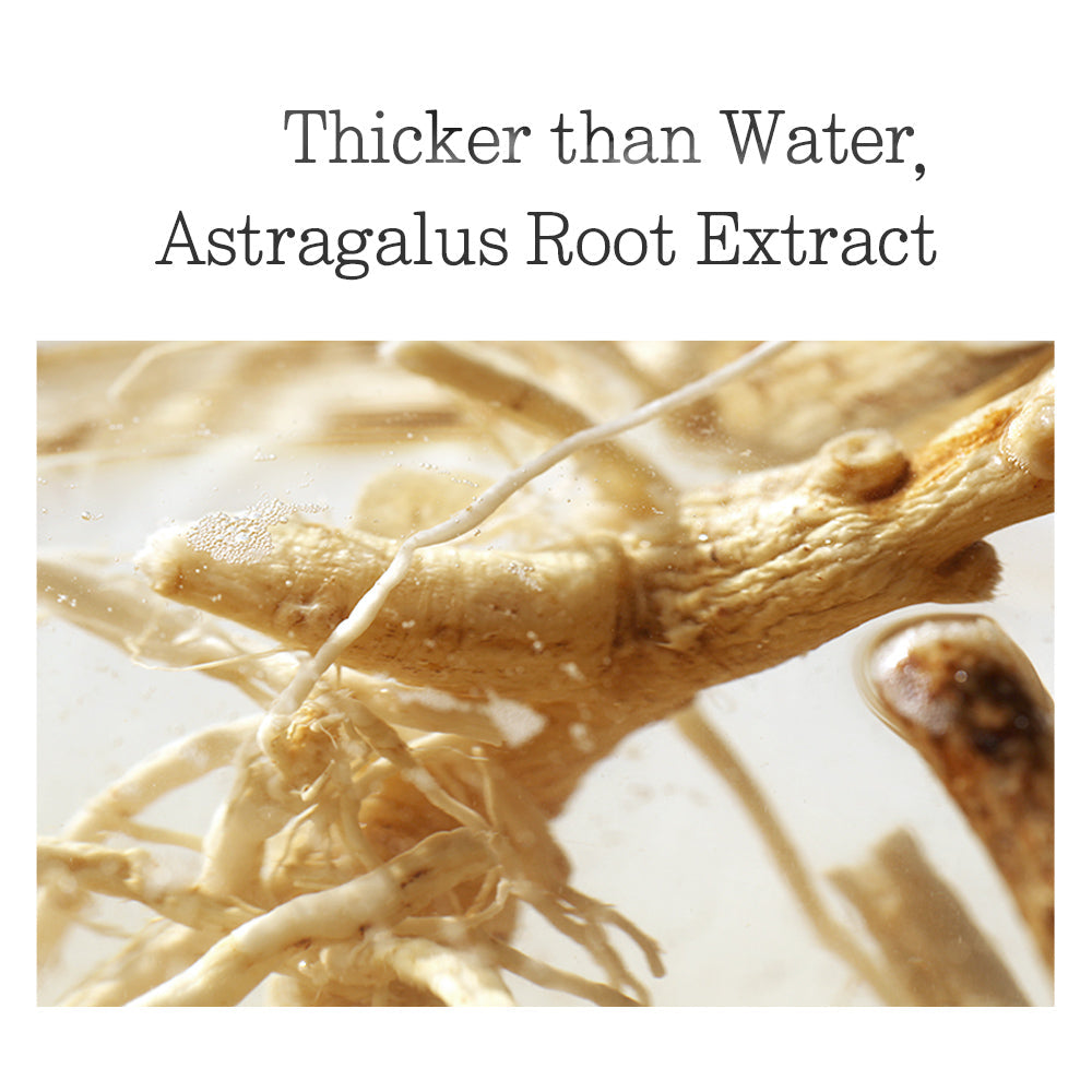 Pyunkang Yul Essence Toner Pad PYUNKANG YUL