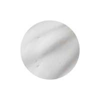 Round Lab 1025 Dokdo Bubble Foam - STORE K BEAUTY
