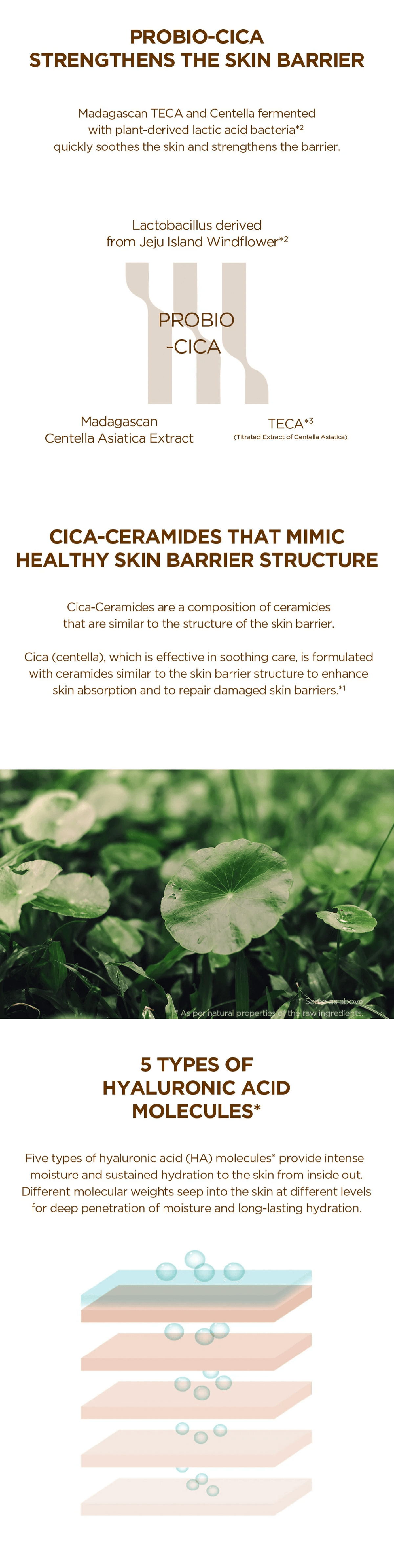 SKIN1004 Madagascar Centella Probio-Cica Essence Toner SKIN1004