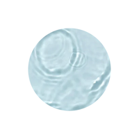 Anua BHA 2% Gentle Exfoliating Toner Anua