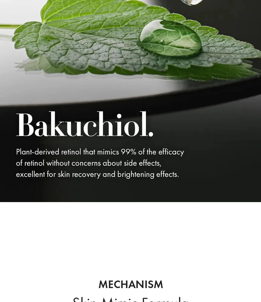 Dr.Ceuracle VEGAN KOMBUCHA TEA SLEEP MASK Dr.Ceuracle