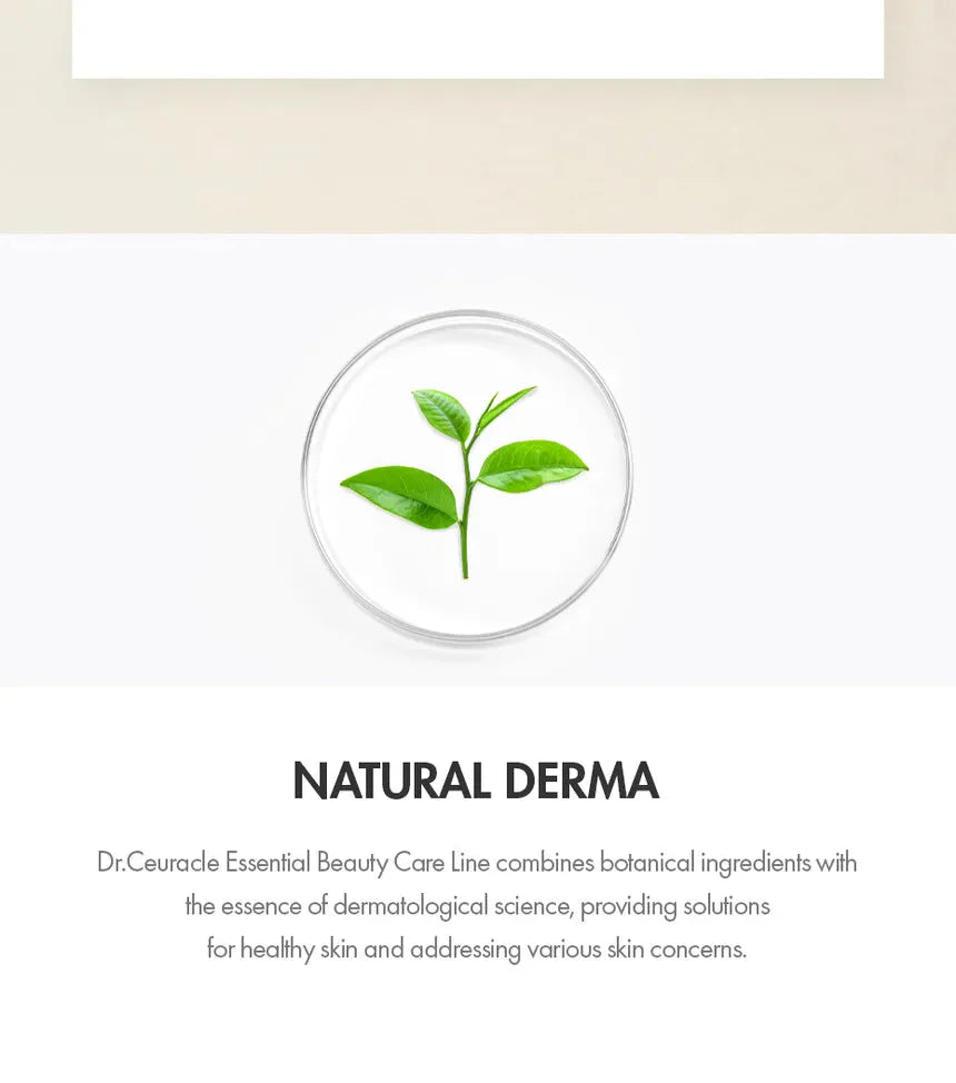 Dr.Ceuracle VEGAN KOMBUCHA TEA SLEEP MASK Dr.Ceuracle