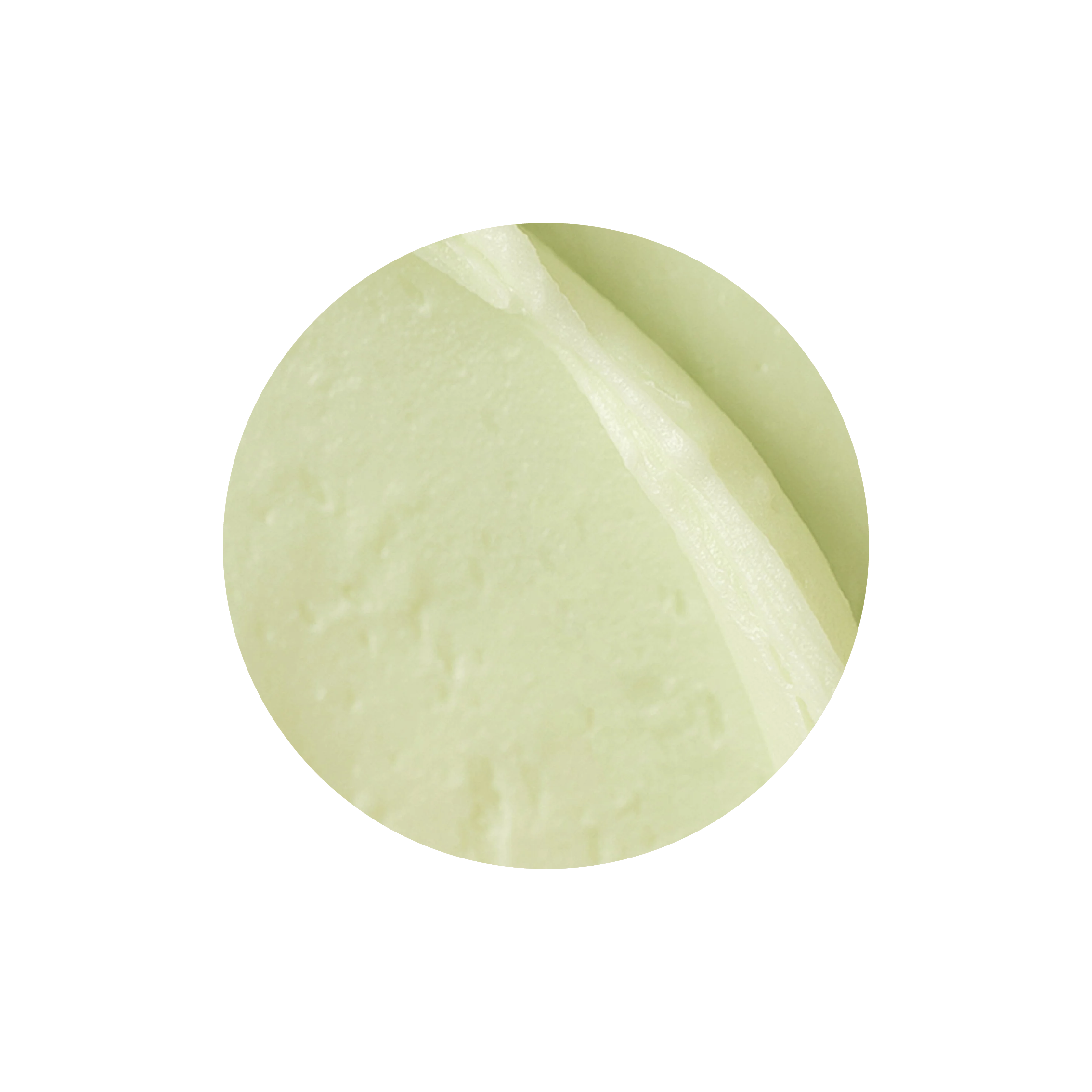 Beauty of Joseon MATTE SUN STICK: MUGWORT + CAMELIA SPF50+ Beauty of Joseon