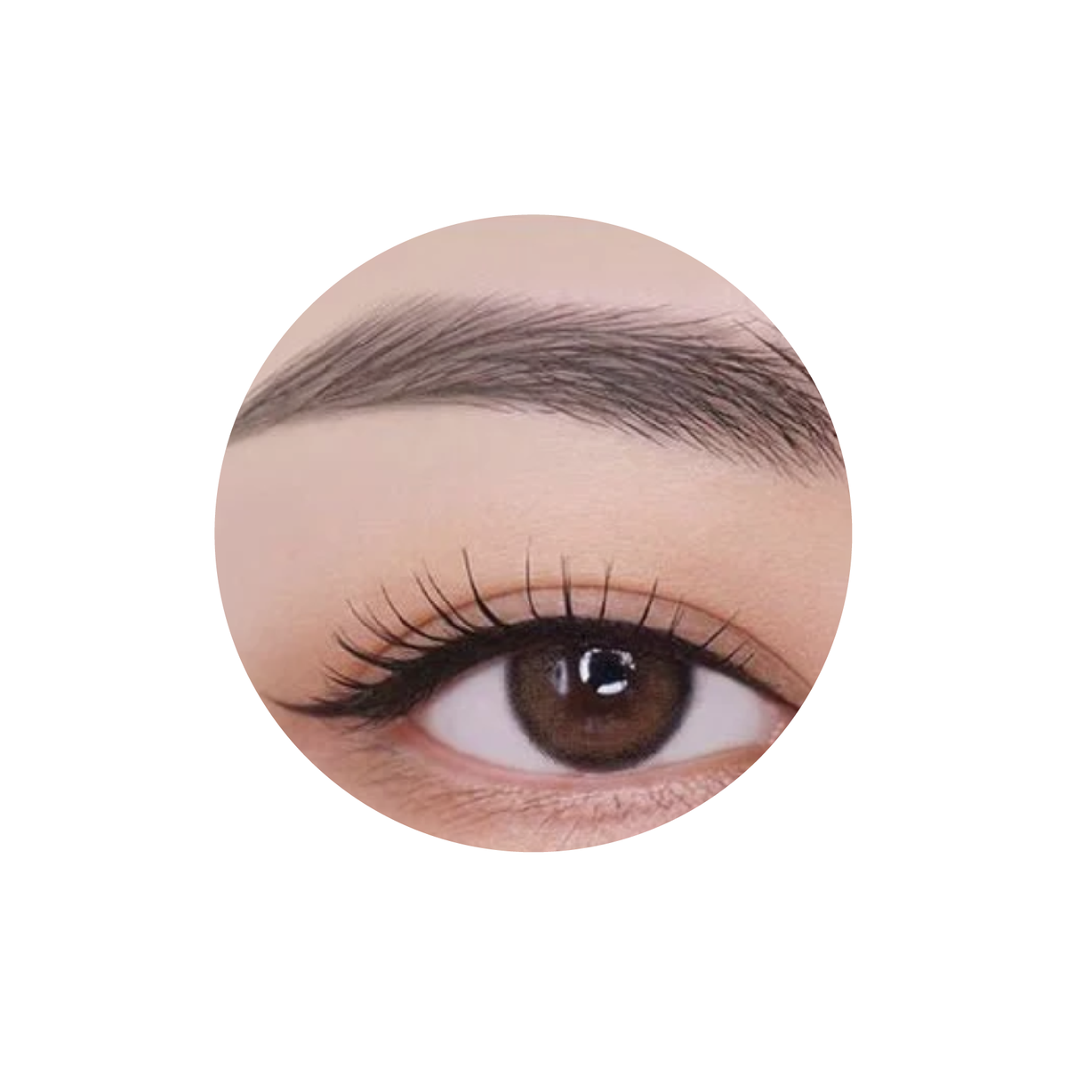 Unleashia Shaper Defining Eyebrow Pencil Unleashia