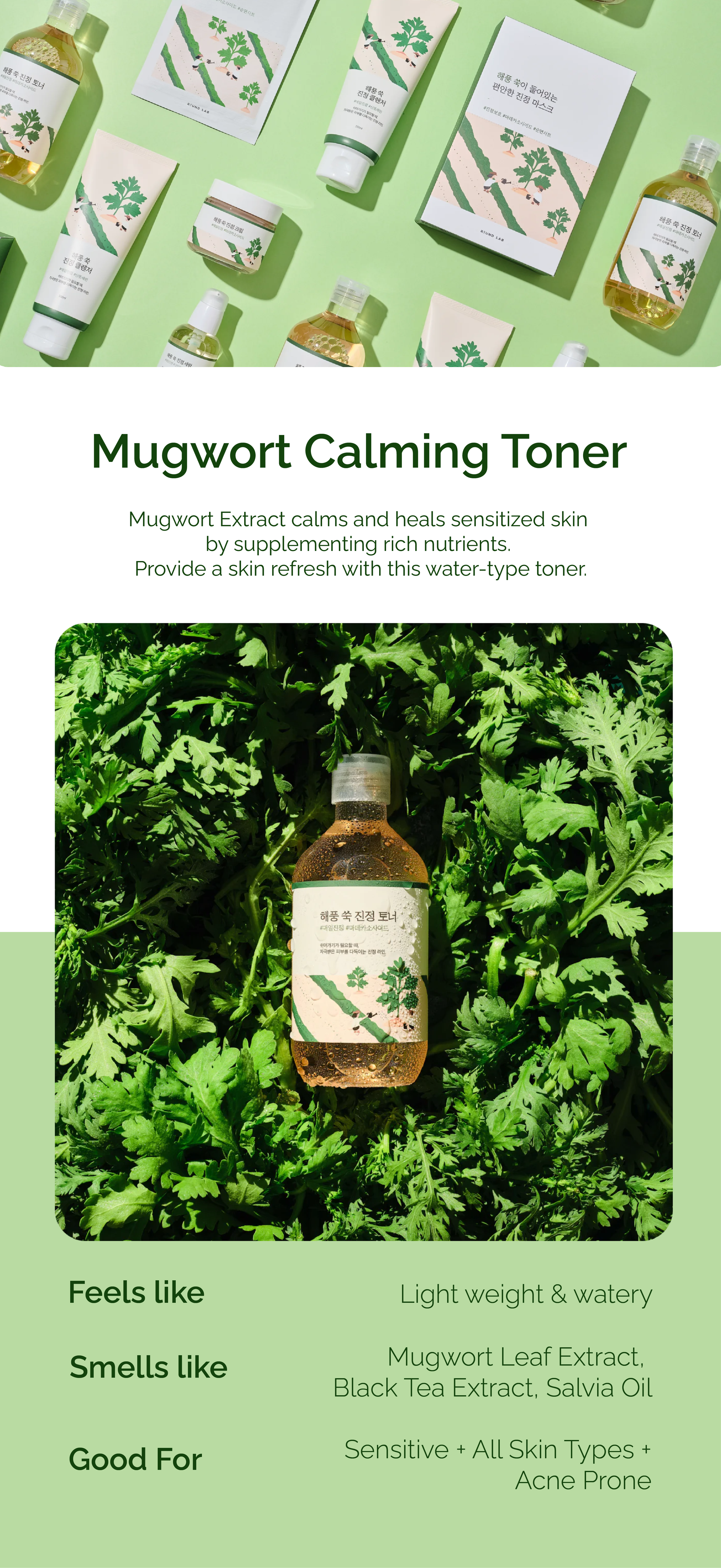 Round Lab Mugwort Calming Toner Round Lab