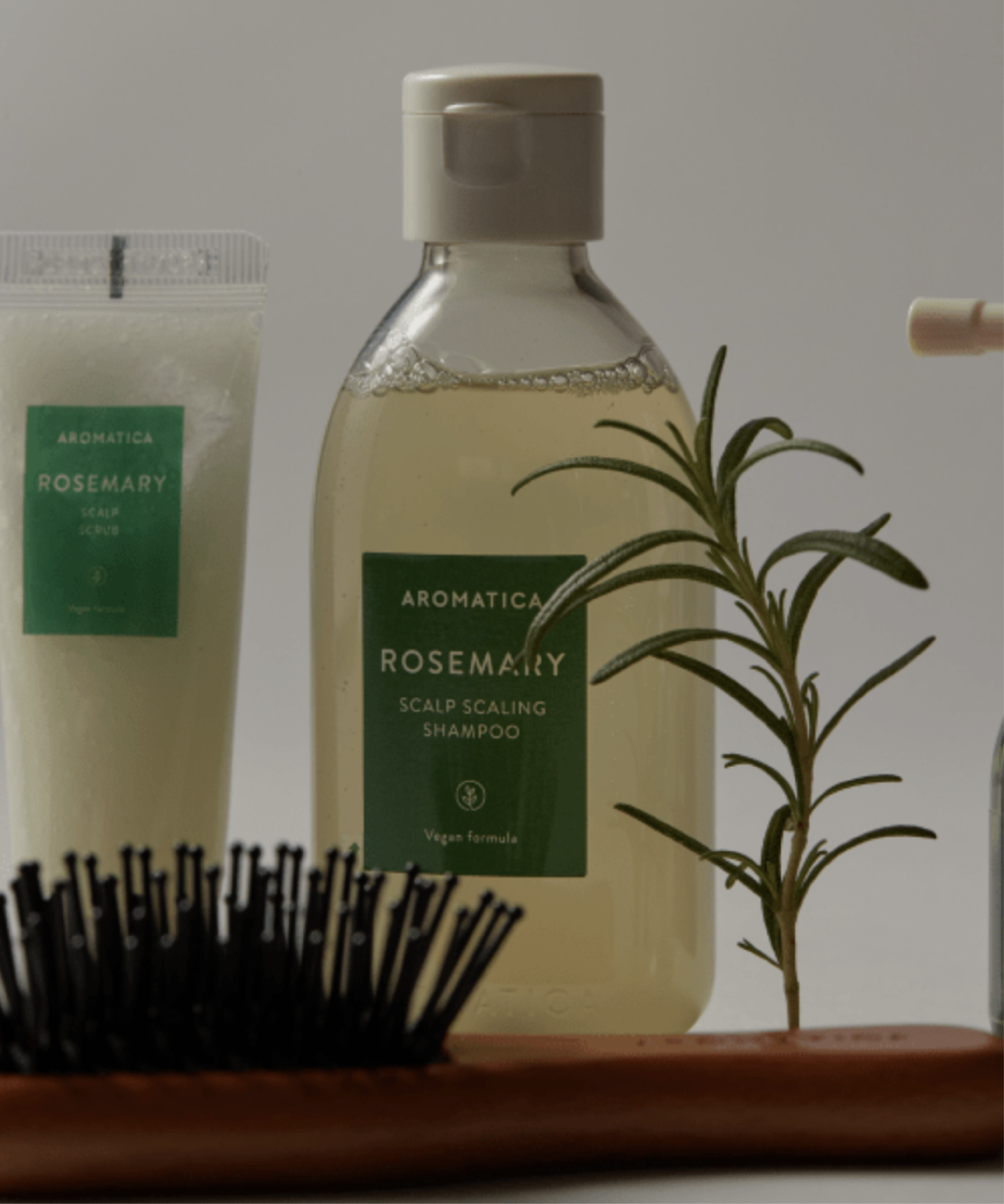 Aromatica Rosemary Scalp Trial Kit AROMATICA
