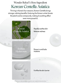 Purito Seoul Wonder Releaf Centella Toner Purito Seoul