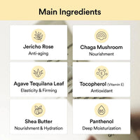 Abib Jericho Rose Créme Nutrition Tube Abib