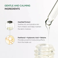 Anua Heartleaf 80% Moisture Soothing Ampoule Anua