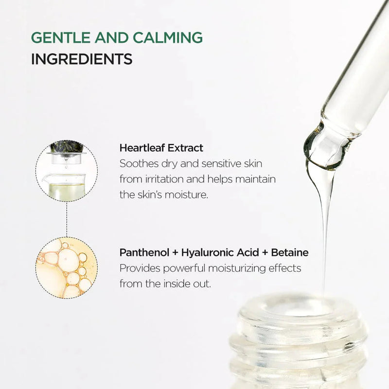 Anua Heartleaf 80% Moisture Soothing Ampoule Anua