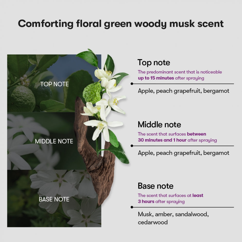 VT COSMETICS REEDLE SHOT LIFTING CREAM VT COSMETICS