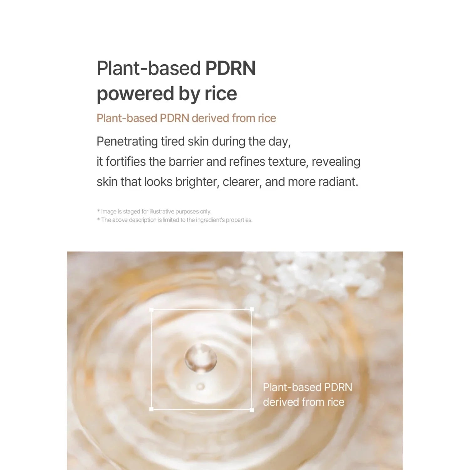 Mixsoon White Rice Peeling Ampoule STORE K BEAUTY