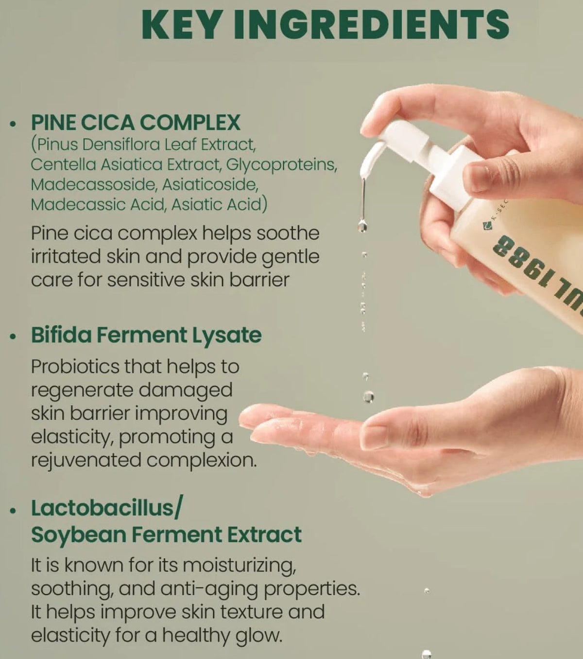 K-SECRET SEOUL 1988 Cleansing Oil: Pine Cica 1% + Probiotics K-SECRET